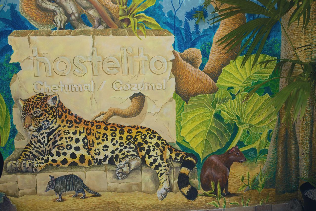 Hostelito Chetumal Hotel + Hostal Exterior foto